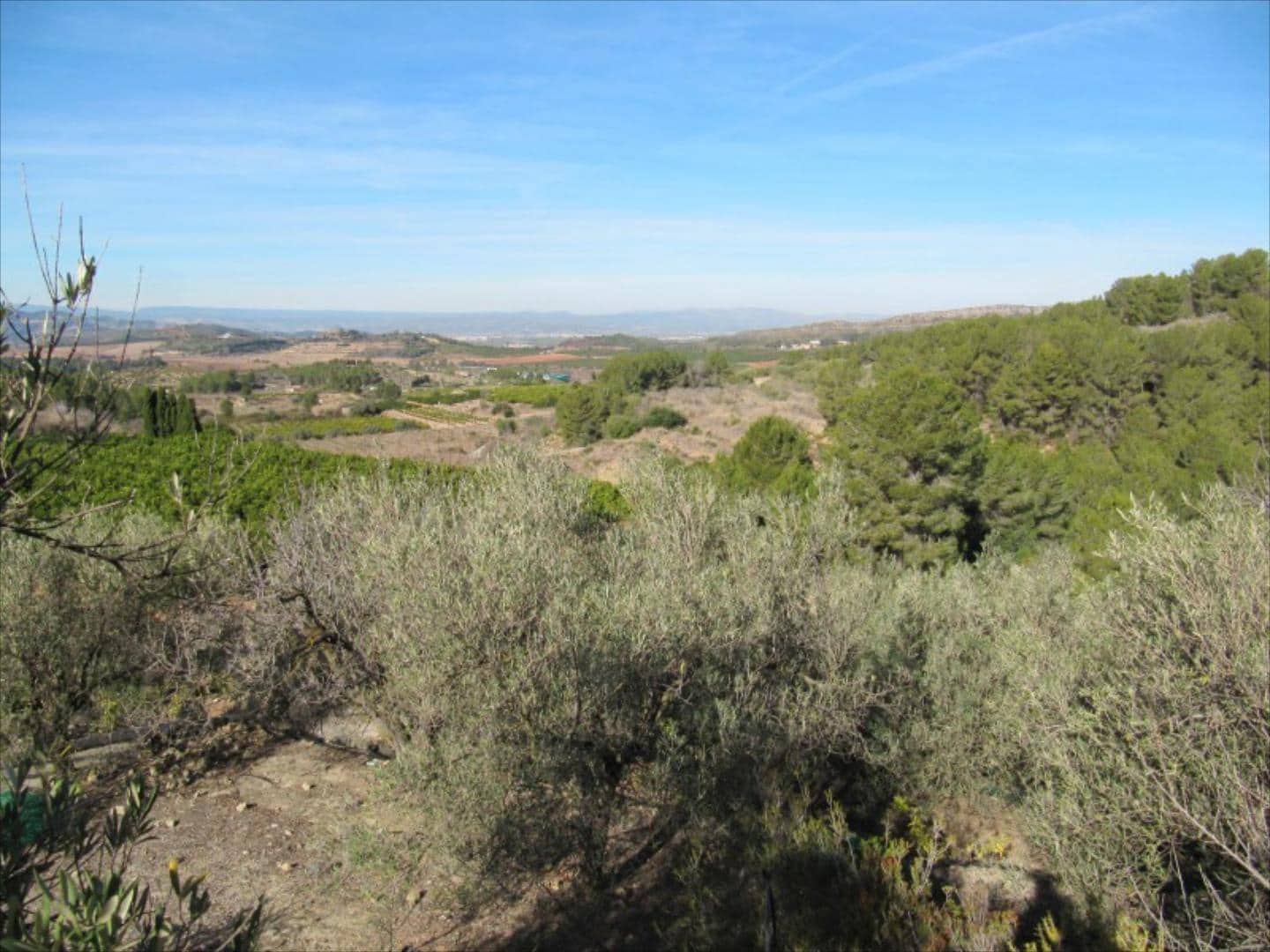 Finca/Country House for sale in Barxeta - € 70,000 (Ref: 9505966)