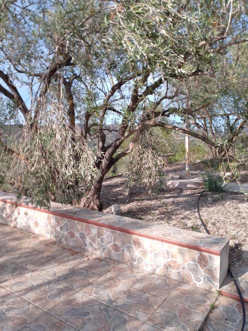 Finca/Country House for sale in Barxeta - € 70,000 (Ref: 9505966)