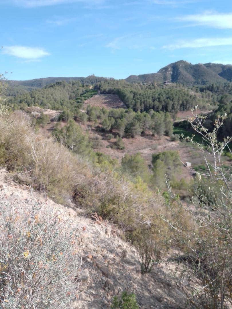 Finca/Country House for sale in Barxeta - € 70,000 (Ref: 9505966)