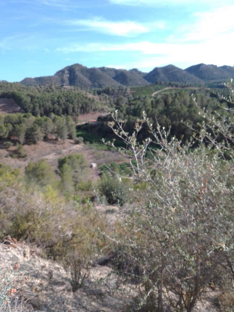 Finca/Country House for sale in Barxeta - € 70,000 (Ref: 9505966)