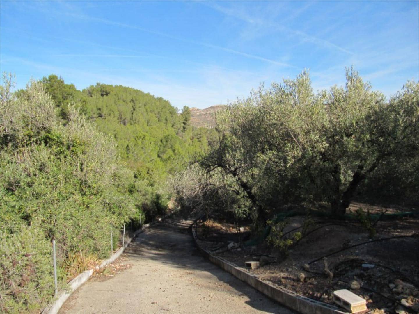 Finca/Country House for sale in Barxeta - € 70,000 (Ref: 9505966)