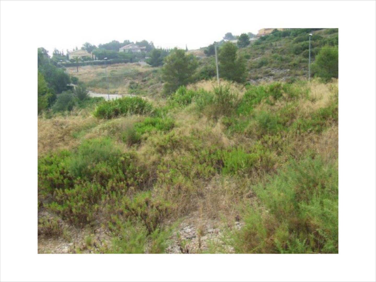 Tontti myytävänä paikassa Alberic - 65 000 € (Ref: 9508755)