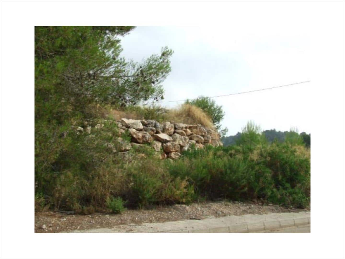 Tontti myytävänä paikassa Alberic - 65 000 € (Ref: 9508755)