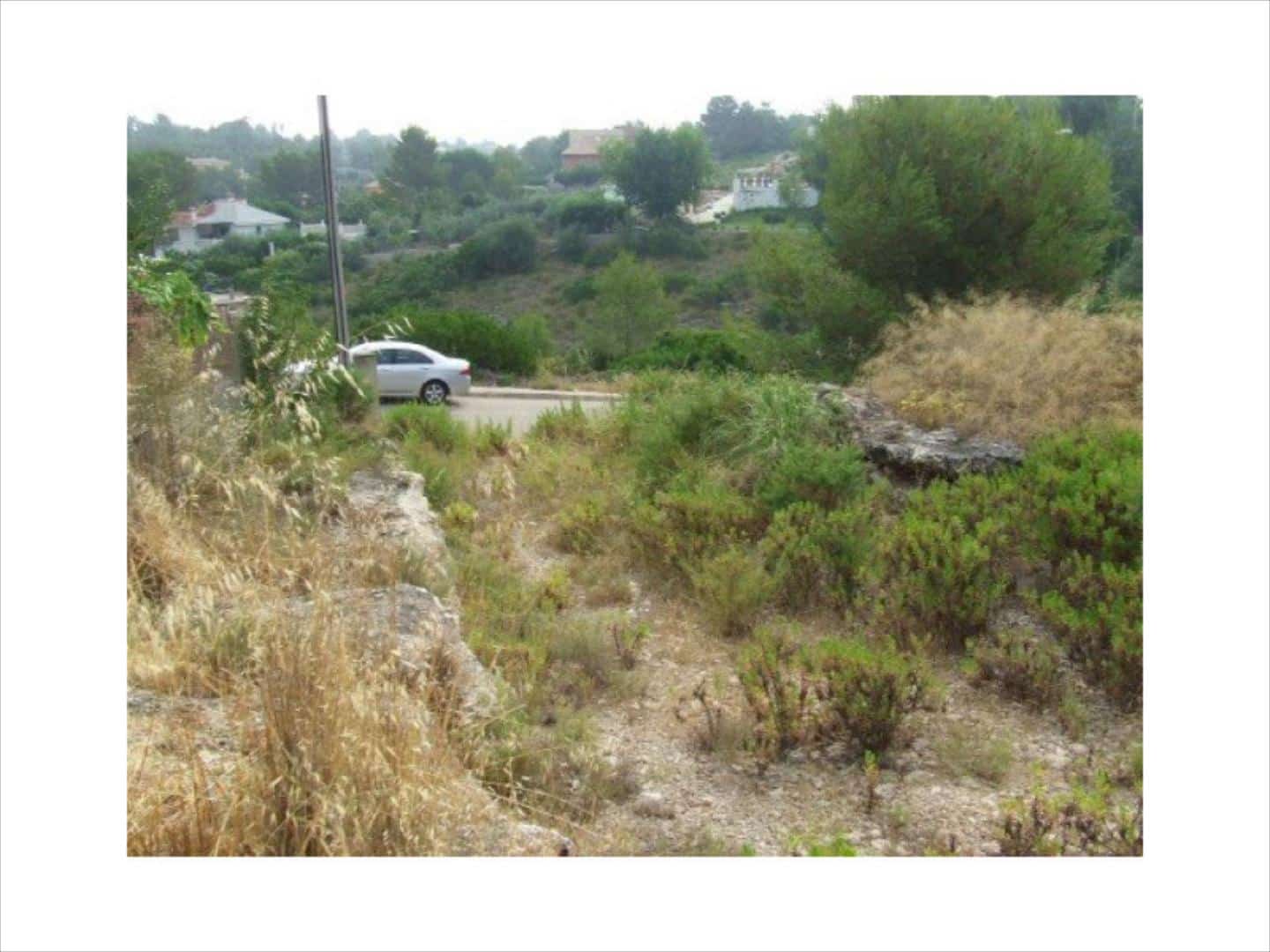 Tontti myytävänä paikassa Alberic - 65 000 € (Ref: 9508755)