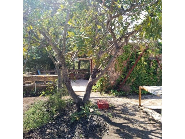 Maalaistalo myytävänä paikassa Sot de Ferrer - 40 000 € (Ref: 7820680)