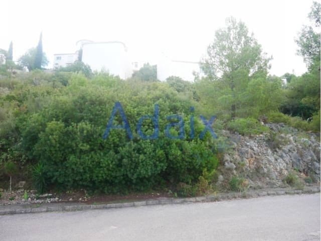 Terreno Non Edificato in vendita in Pego - 65.000 € (Rif: 7820710)