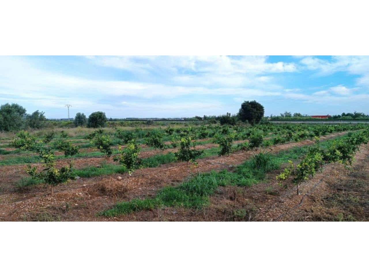 4 sovrum Finca/Hus på landet till salu i Llauri med garage - 200 000 € (Ref: 7820764)