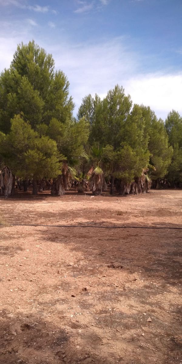 2 Zimmer Villa zu verkaufen in La Pobla del Duc mit Garage - 210.000 € (Ref: 7959748)