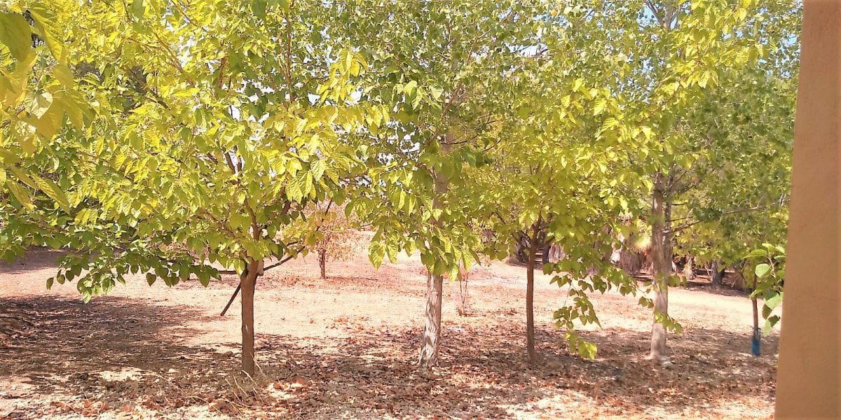2 Zimmer Villa zu verkaufen in La Pobla del Duc mit Garage - 210.000 € (Ref: 7959748)