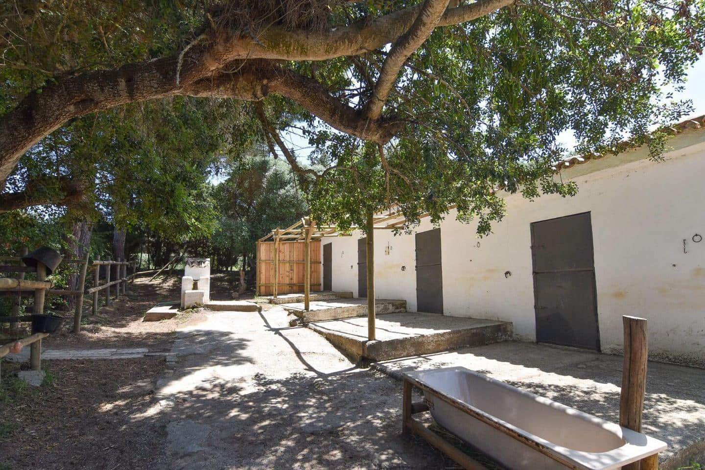 4 slaapkamer Finca/Landhuis te koop in San Roque met zwembad garage - € 1.595.000 (Ref: 10153124)