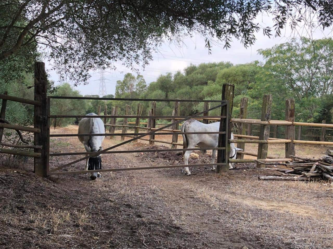 4 bedroom Finca/Country House for sale in San Roque with pool garage - € 1,595,000 (Ref: 10153124)