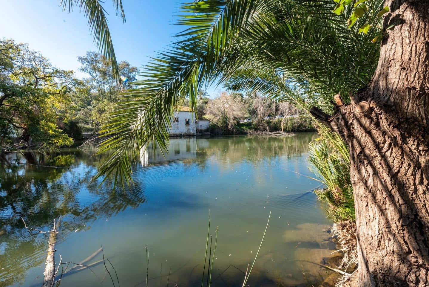 3 soveværelse Lejlighed til salg i Marbella med swimmingpool garage - € 950.000 (Ref: 8987898)