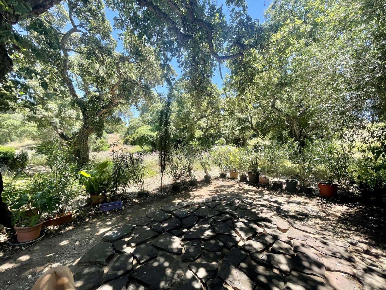 5 slaapkamer Villa te koop in Sotogrande met zwembad garage - € 1.700.000 (Ref: 9075506)