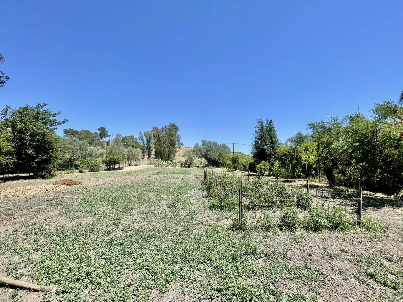 5 bedroom Finca/Country House for sale in Jimena de la Frontera with pool garage - € 890,000 (Ref: 9868145)