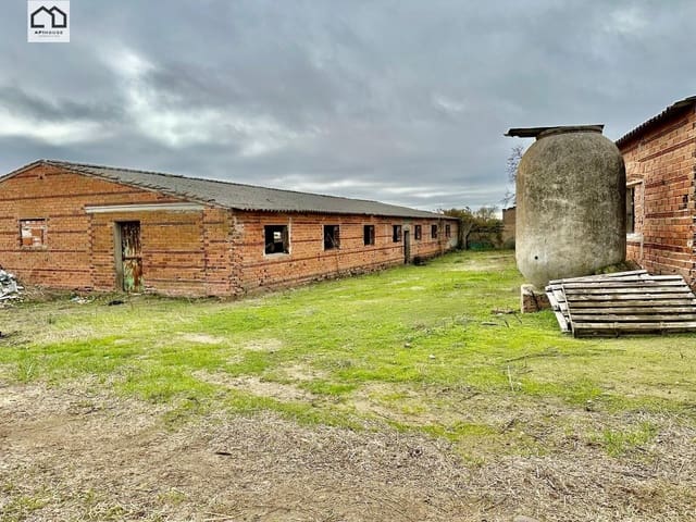 Bauplatz zu verkaufen in La Mata - 99.999 € (Ref: 9506840)