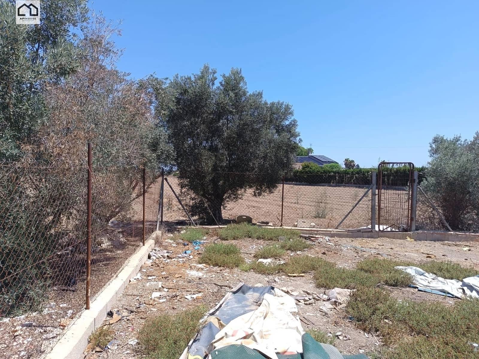 Finca/Casa Rural de 3 habitaciones en Dolores en venta con garaje - 195.000 € (Ref: 9506870)