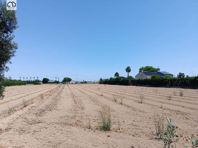 Finca/Casa Rural de 3 habitaciones en Dolores en venta con garaje - 195.000 € (Ref: 9506870)