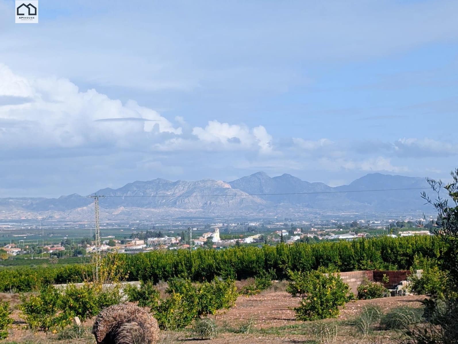 4 makuuhuone Maalaistalo myytävänä paikassa Orihuela mukana uima-altaan - 370 000 € (Ref: 9506885)