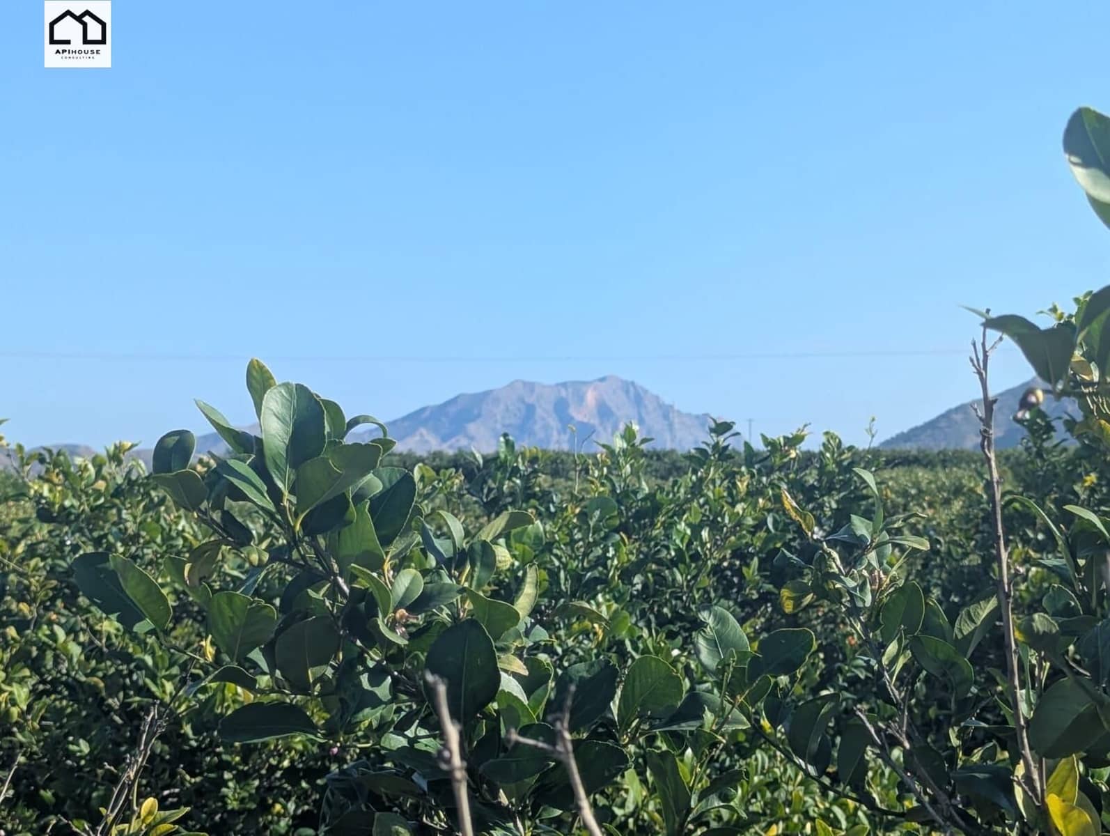 4 makuuhuone Maalaistalo myytävänä paikassa Orihuela mukana uima-altaan - 370 000 € (Ref: 9506885)