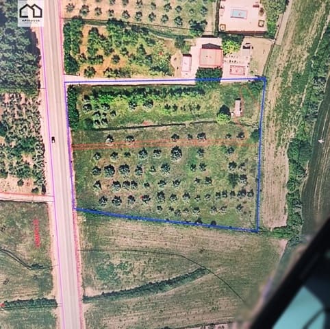 Solar/Parcela en Bocairent en venta - 56.000 € (Ref: 9513628)