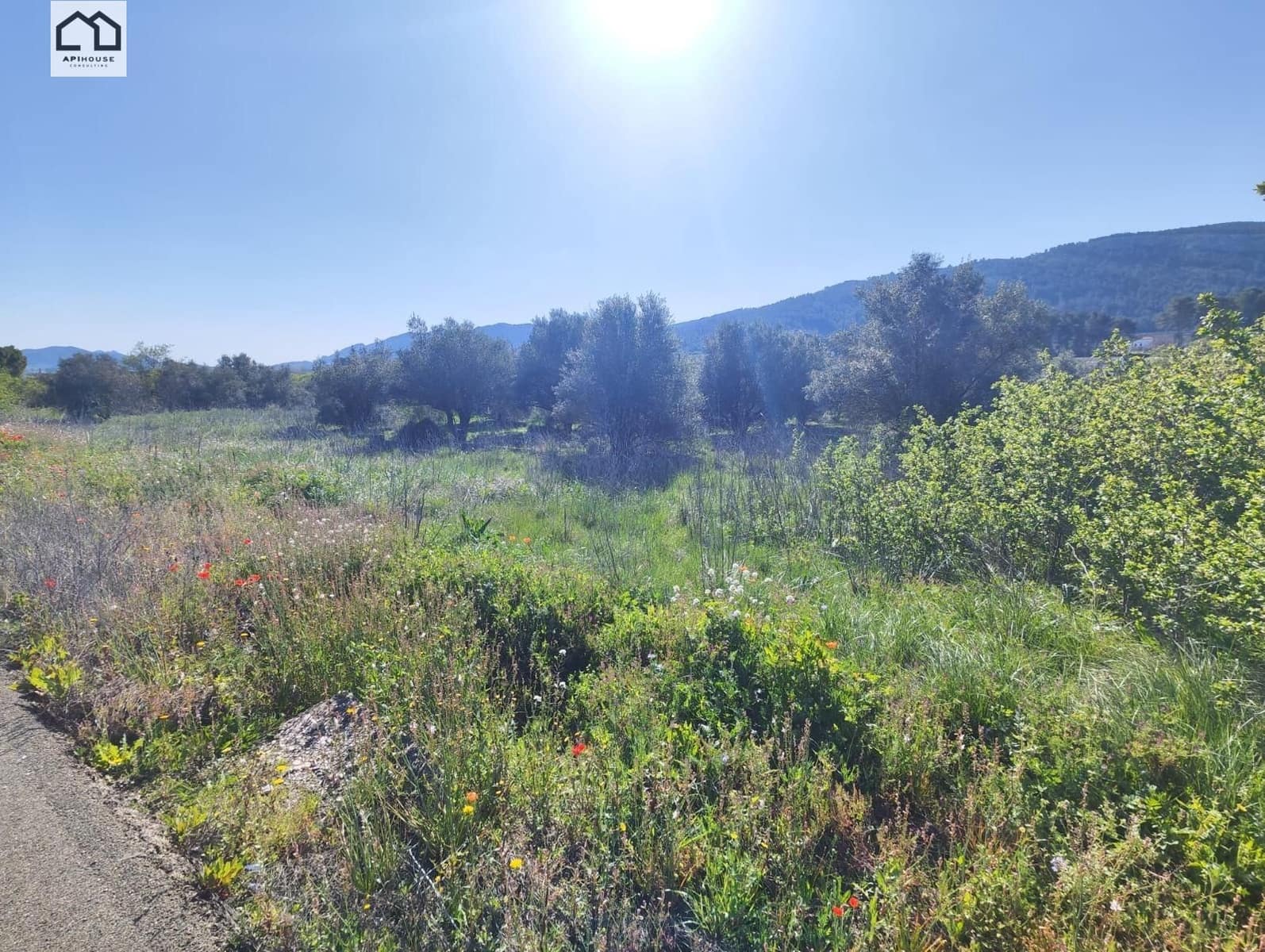 Solar/Parcela en Bocairent en venta - 56.000 € (Ref: 9513628)