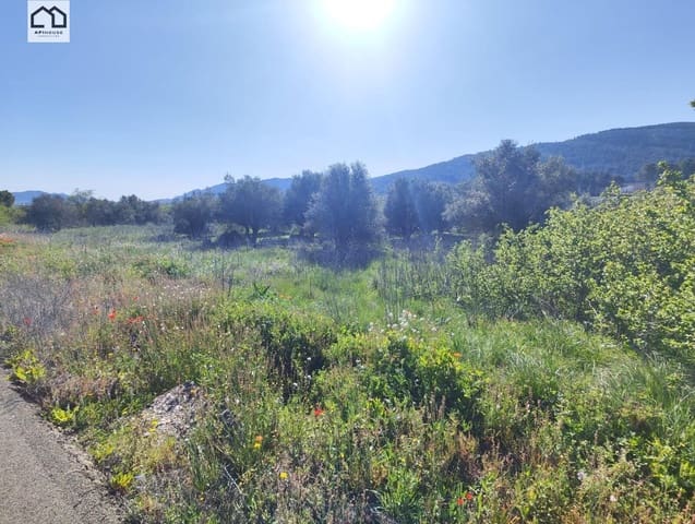 Solar/Parcela en Bocairent en venta - 56.000 € (Ref: 9513628)