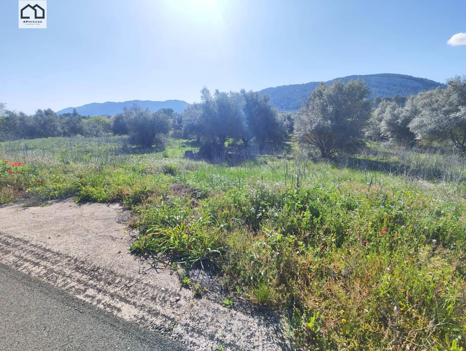 Solar/Parcela en Bocairent en venta - 56.000 € (Ref: 9513628)