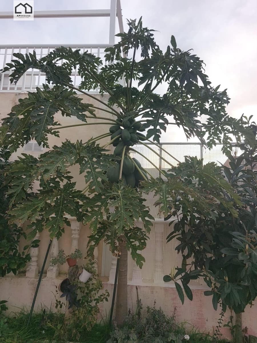 2 makuuhuone Omakotitalo myytävänä paikassa Lo Pagan mukana 
autotalli - 126 000 € (Ref: 9535841)