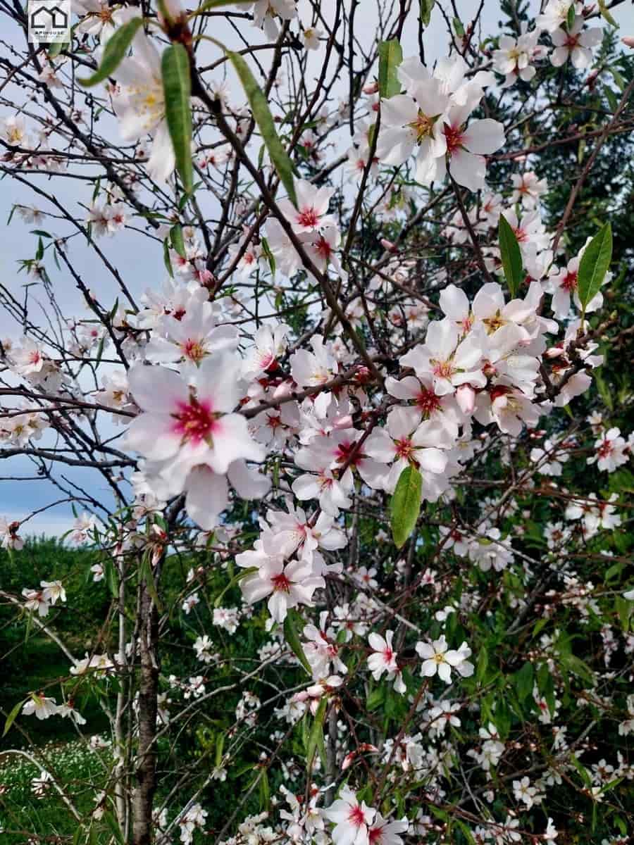 4 bedroom Townhouse for sale in La Murada with garage - € 148,000 (Ref: 9608266)