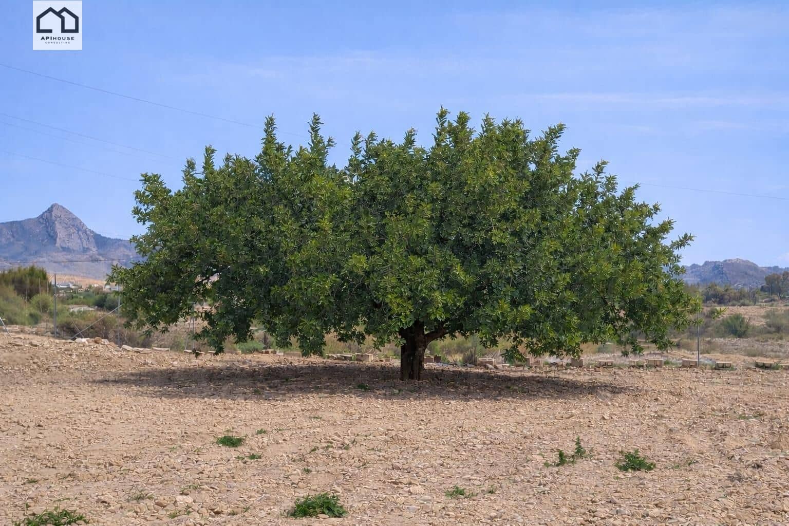 4 bedroom Townhouse for sale in La Murada with garage - € 148,000 (Ref: 9608266)