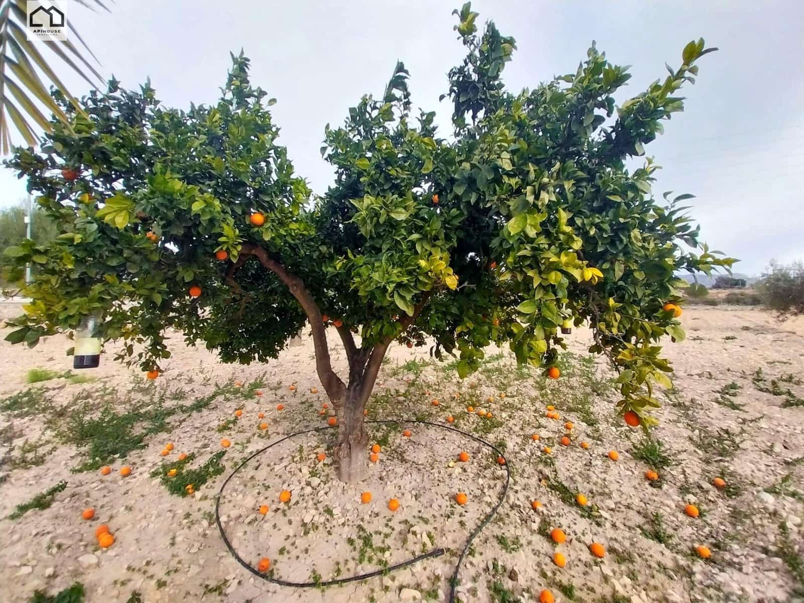 4 bedroom Townhouse for sale in La Murada with garage - € 148,000 (Ref: 9608266)