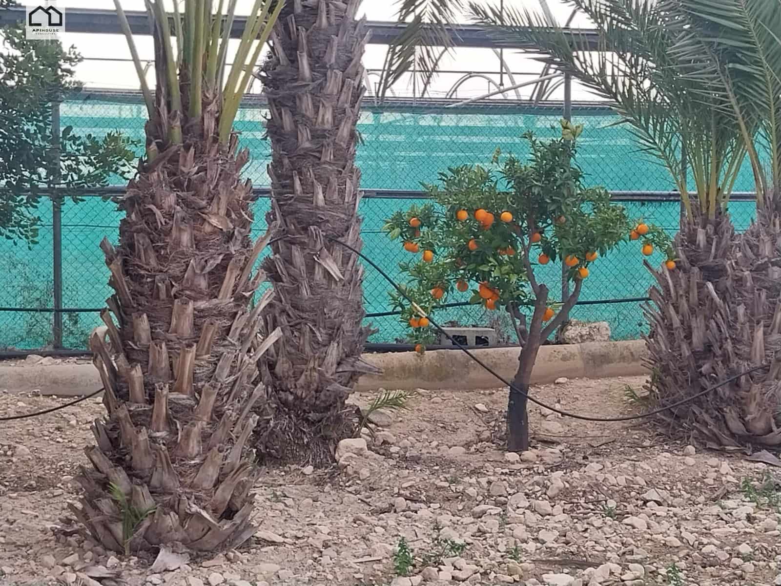 4 bedroom Townhouse for sale in La Murada with garage - € 148,000 (Ref: 9608266)