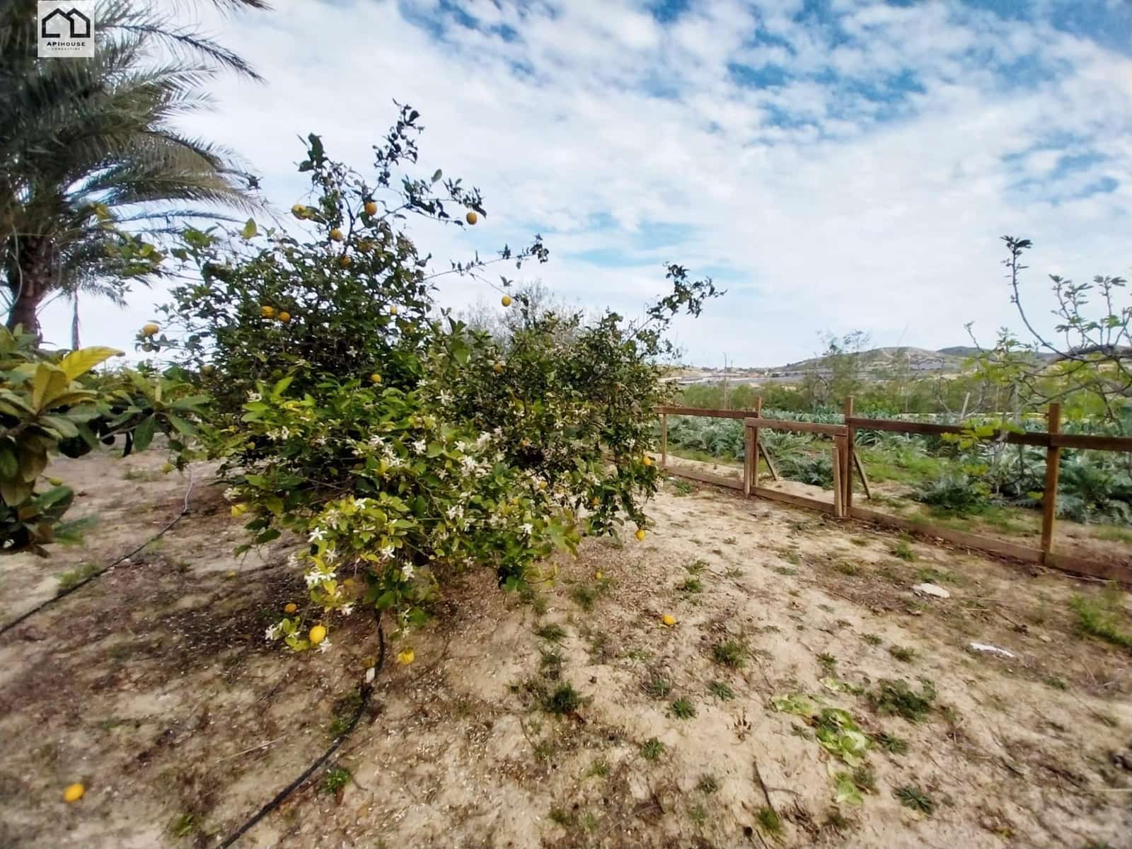 Finca/Casa Rural de 5 habitaciones en Sangonera la Seca en venta con piscina - 449.000 € (Ref: 9715148)