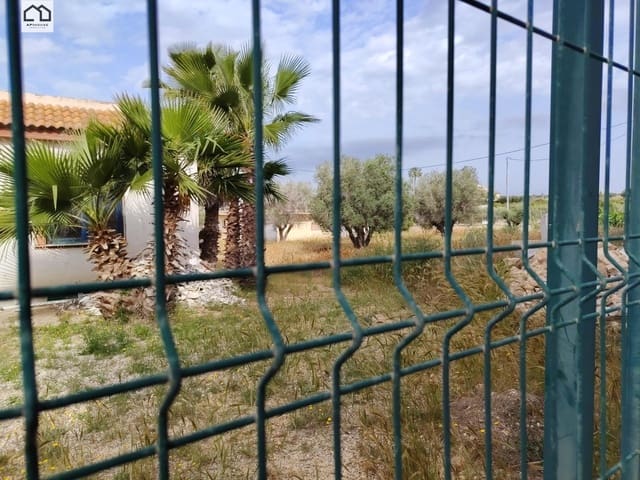 8 chambre Villa/Maison à vendre à Guardamar del Segura - 499 900 € (Ref: 9820412)