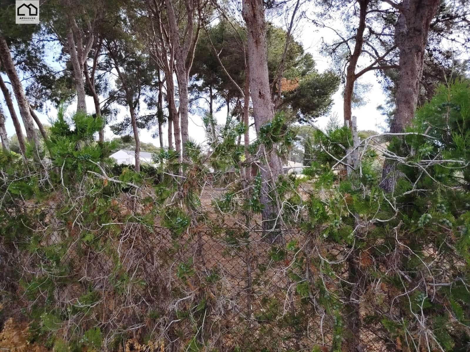 8 quarto Moradia para venda em Guardamar del Segura - 499 900 € (Ref: 9820412)