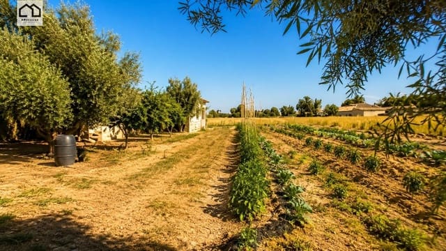 Finca/Landehus til salg i Dolores - € 107.000 (Ref: 9865401)