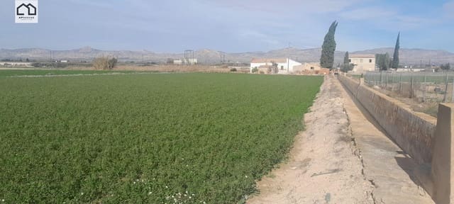 3 chambre Finca/Maison de Campagne à vendre à Callosa de Segura - 120 000 € (Ref: 9952804)
