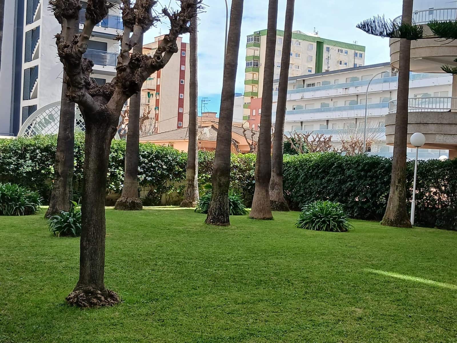 3 bedroom Apartment for rent in Gandia with pool garage - € 800 (Ref: 9843888)