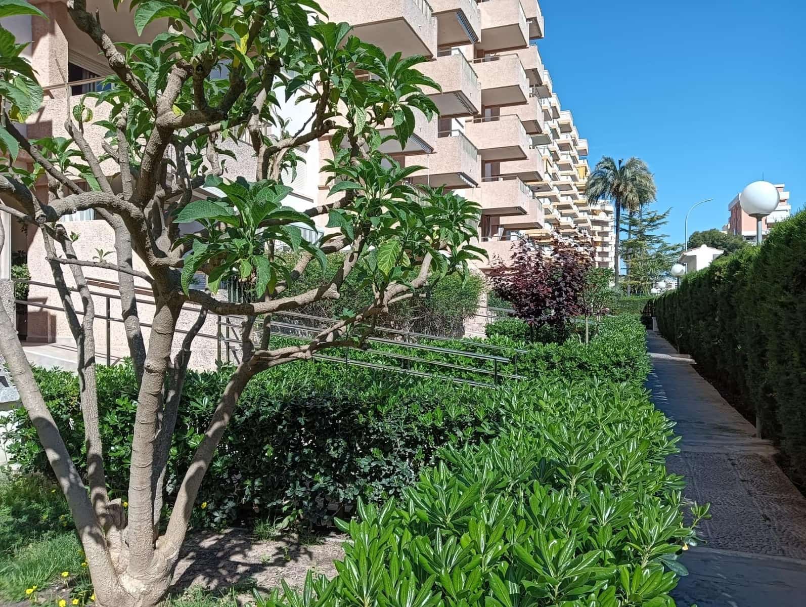 2 bedroom Apartment for sale in Gandia with pool - € 219,000 (Ref: 9843901)