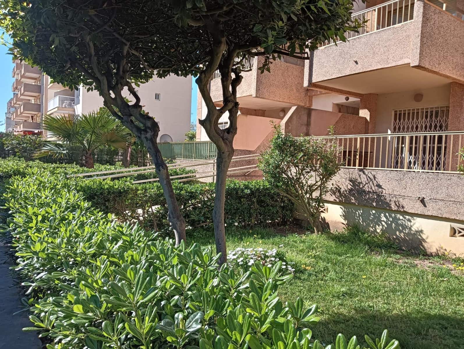 2 bedroom Apartment for sale in Gandia with pool - € 219,000 (Ref: 9843901)