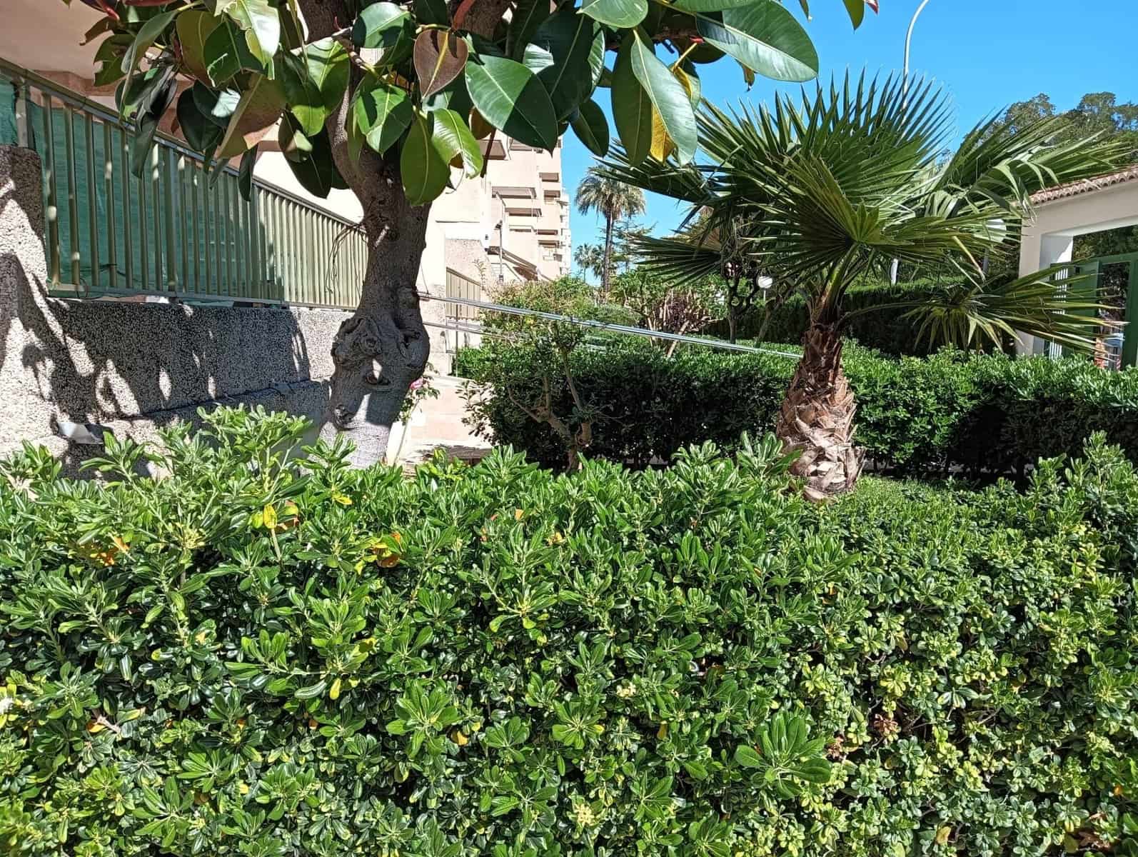 2 bedroom Apartment for sale in Gandia with pool - € 219,000 (Ref: 9843901)