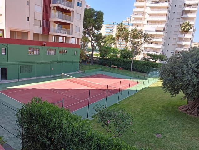 4 bedroom Apartment for holiday rental in Gandia with pool garage - € 1,200 (Ref: 9843902)