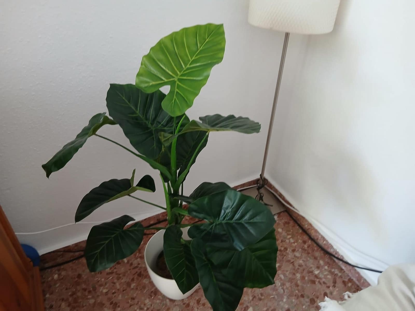 3 bedroom Apartment for holiday rental in Gandia with pool garage - € 1,100 (Ref: 9843929)