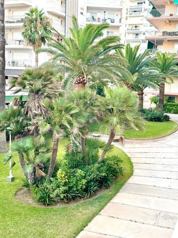   3 soveværelse   ferieLejlighed i Gandia   - € 1.995 (Ref: 9843931)