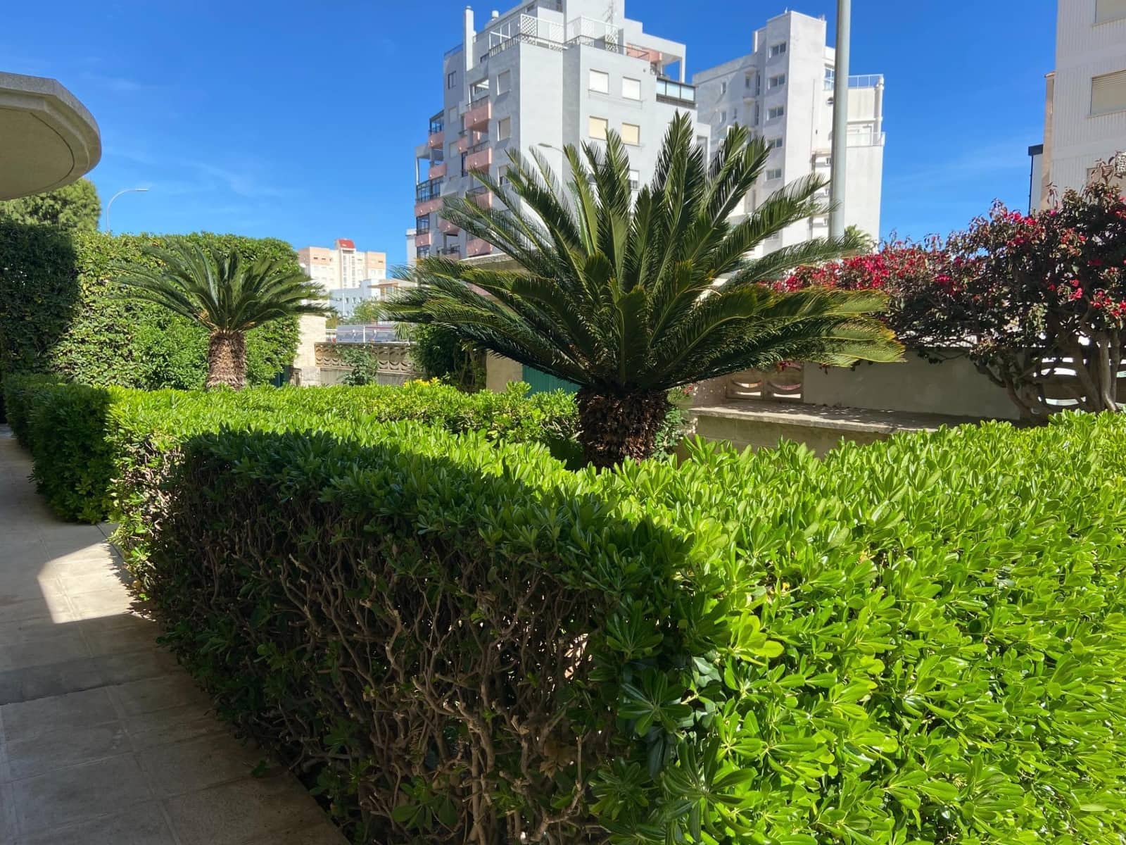 2 bedroom Apartment for holiday rental in Gandia with pool - € 1,435 (Ref: 9843942)