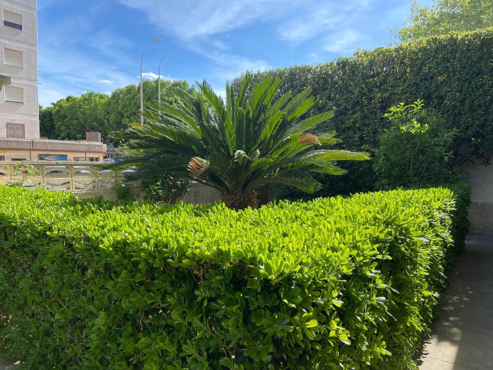 2 bedroom Apartment for holiday rental in Gandia with pool - € 1,435 (Ref: 9843942)