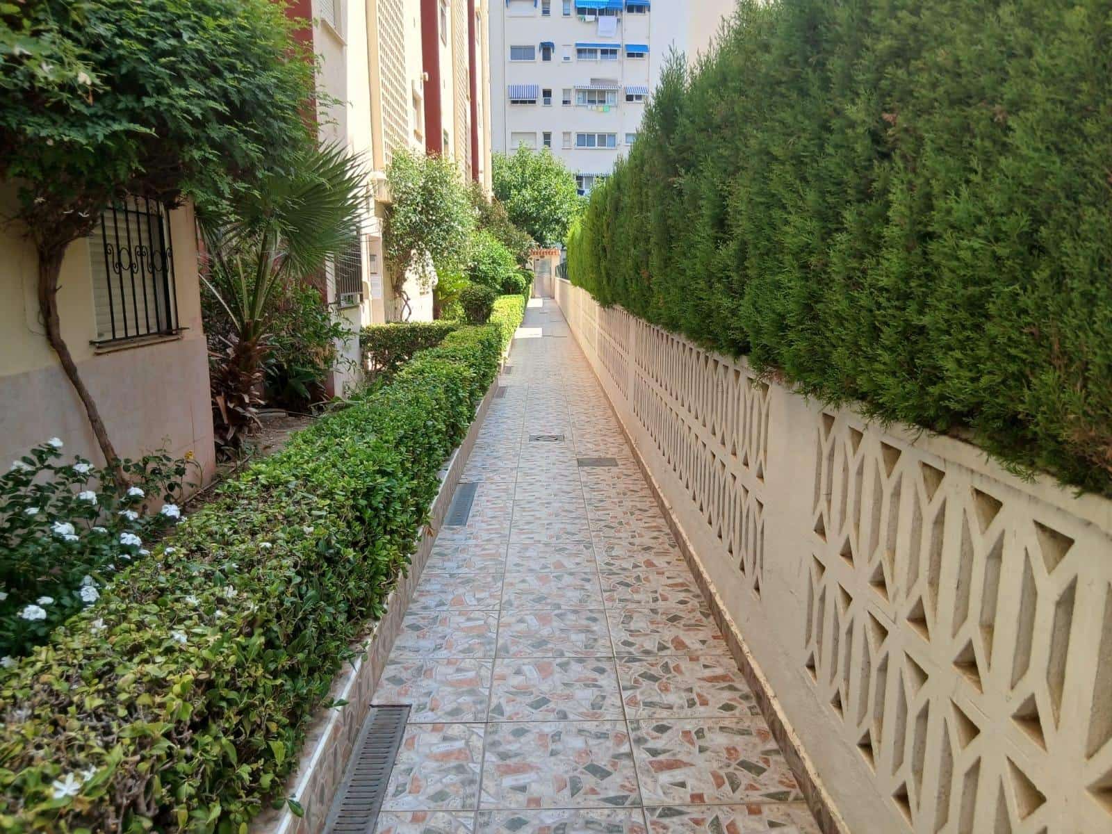 1 bedroom Studio for holiday rental in Gandia - € 1,150 (Ref: 9843943)