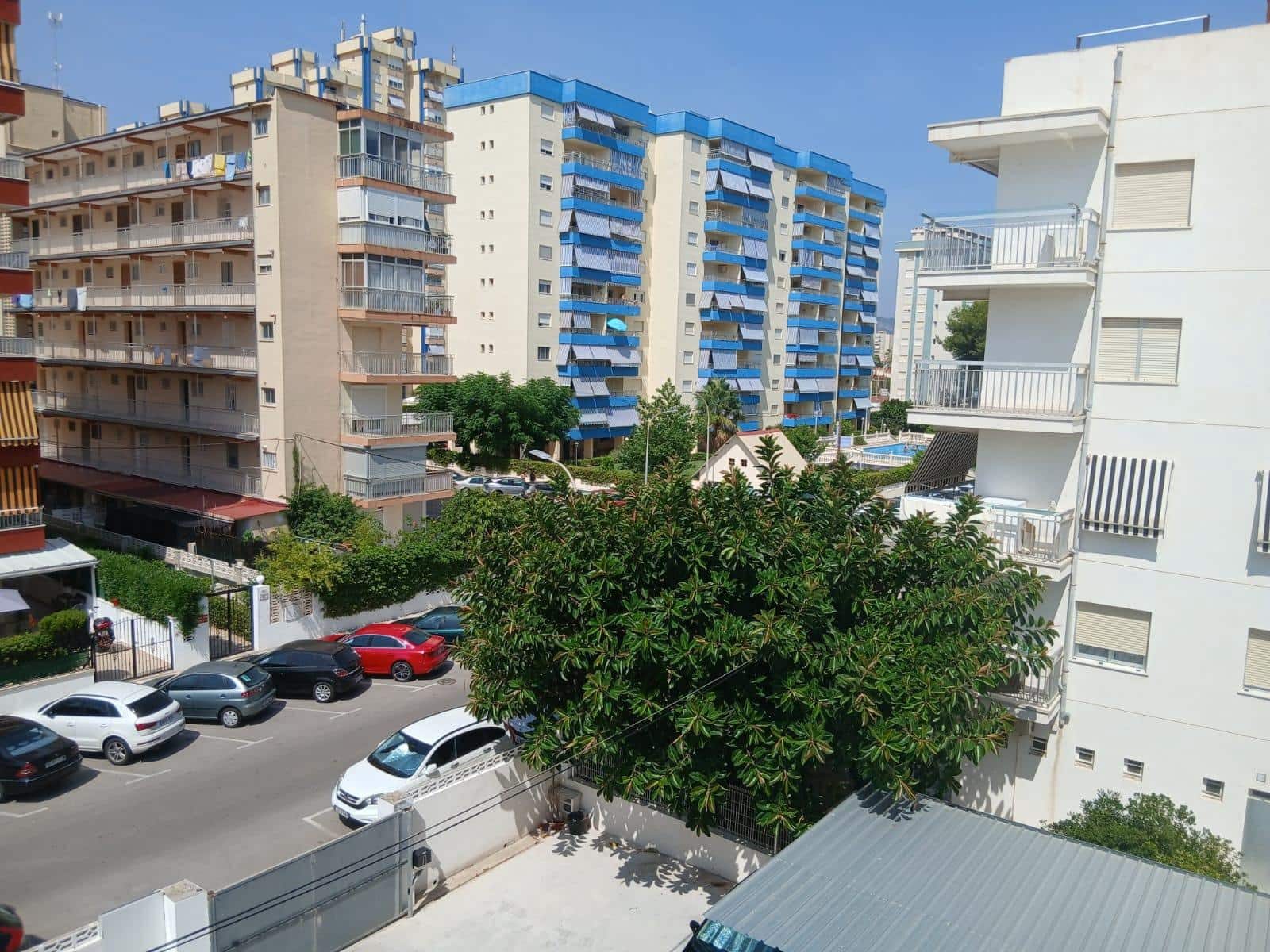 1 bedroom Studio for holiday rental in Gandia - € 1,150 (Ref: 9843943)
