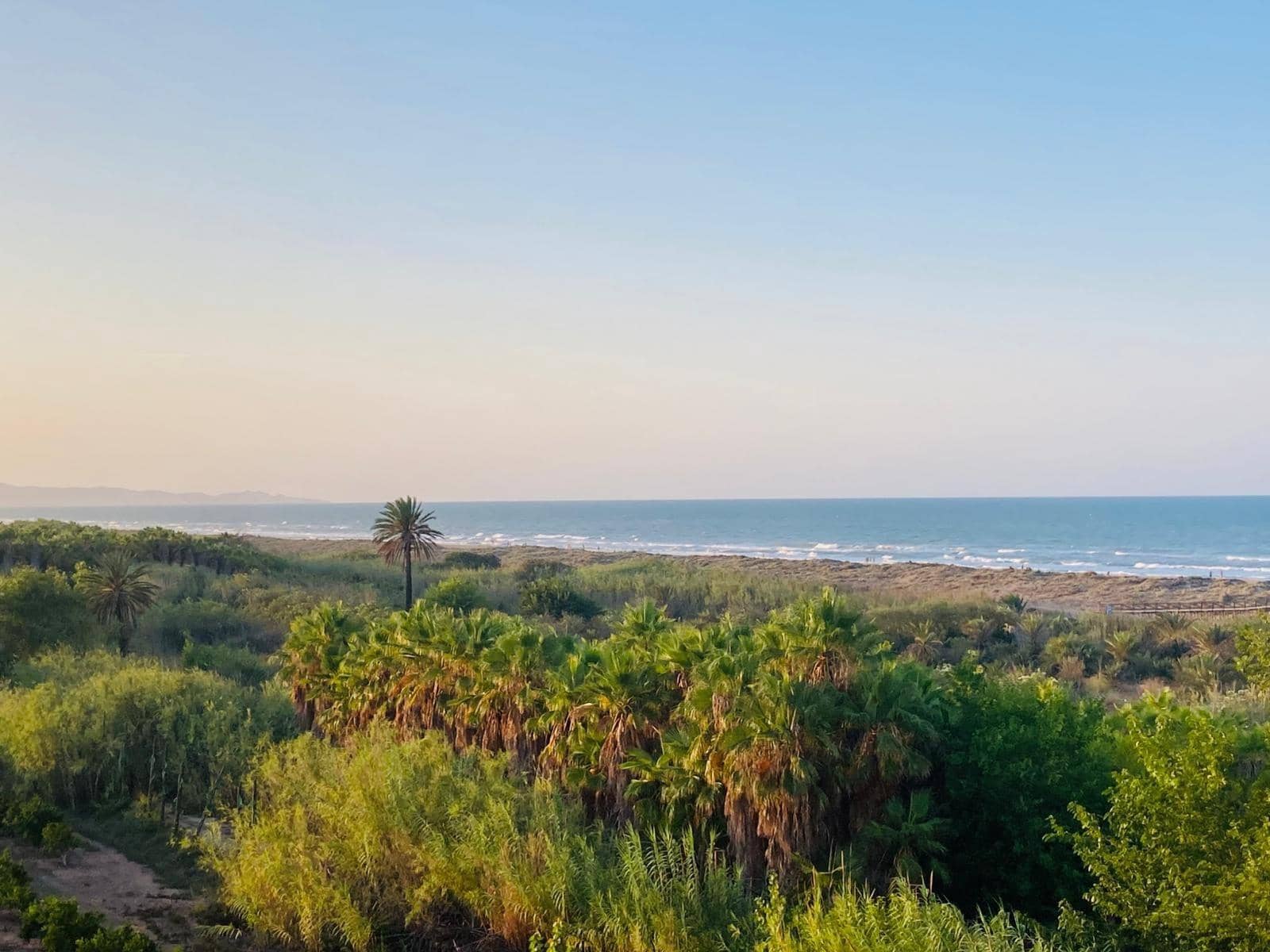 Apartamento de 3 habitaciones en Gandia en alquiler vacacional - 2.000 € (Ref: 9893882)