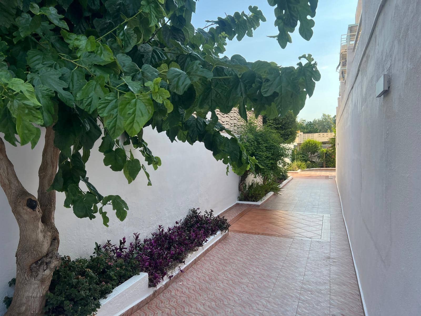 Apartamento de 3 habitaciones en Gandia en alquiler vacacional con piscina - 1.750 € (Ref: 9947921)